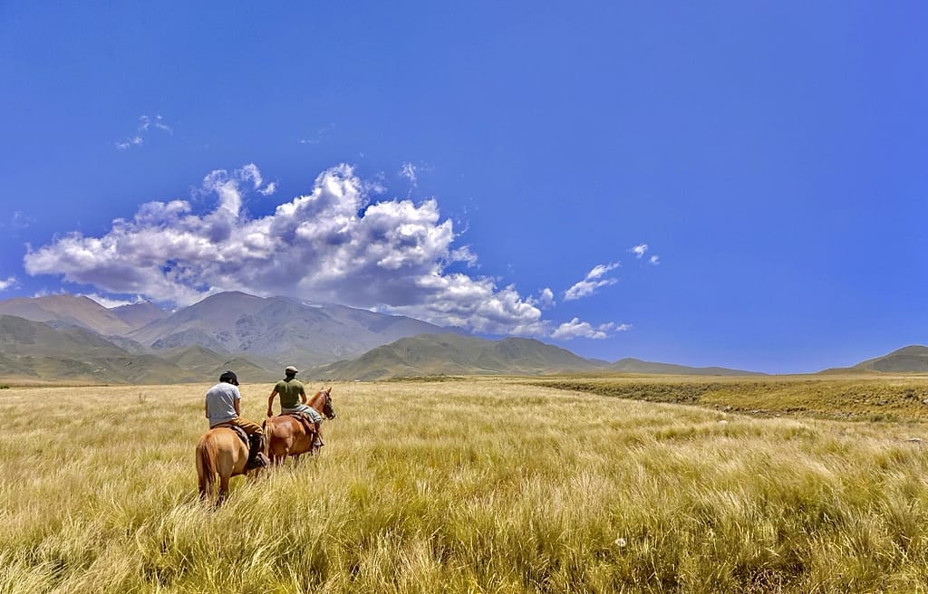 Latin American Fall Wine Harvest Itineraries 19 img 2408