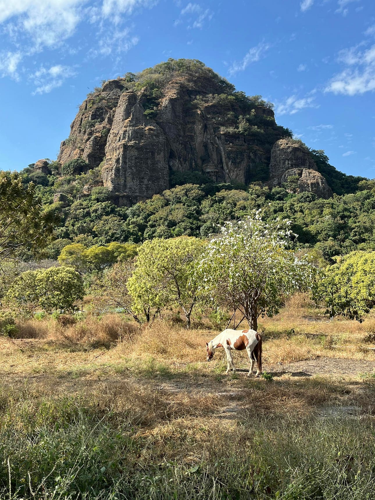Perfect Places to Avoid the Crowds: Tepoztlán, Mexico 11 a serene landscape in tepoztlan featuring tepozteco mountain and a grazing horse. 30066026 scaled