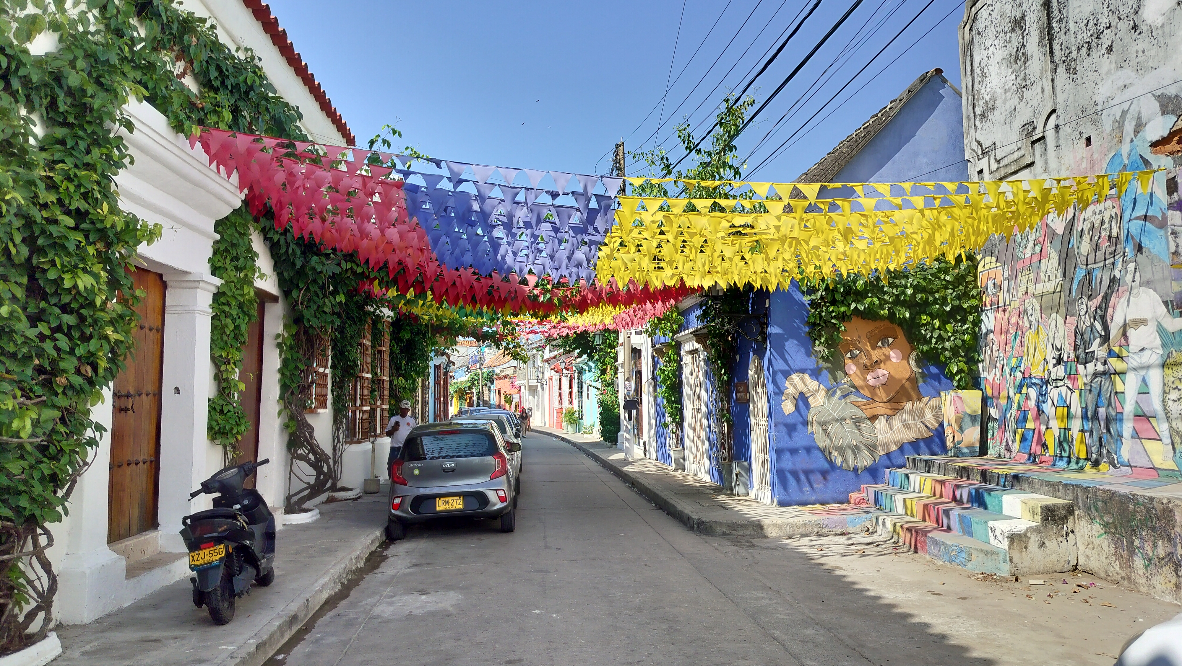 A mural in Getsemani depicts a Caribean woman, her hairdo made up of real vines growing on the wall.
